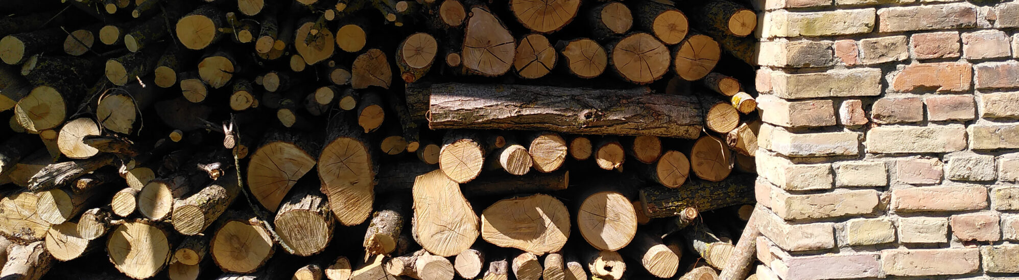 Yoyogihaus: Brennholz für den Winter